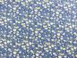 Preview: Hedgehog Hollow Blumen Gänseblümchen Daisies blau von In the Beginning